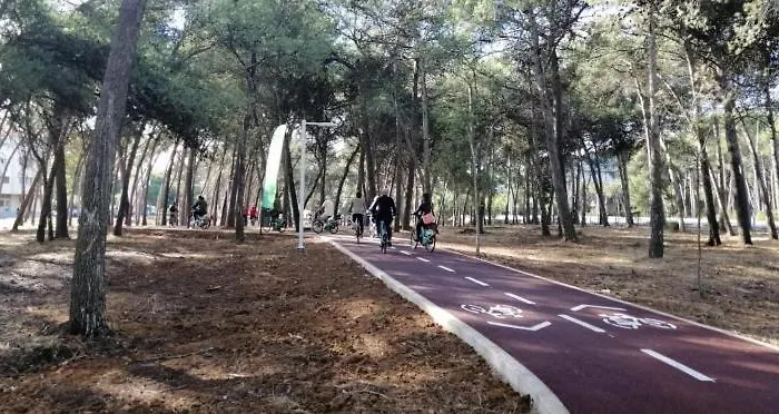 아파트 Carcavelos *